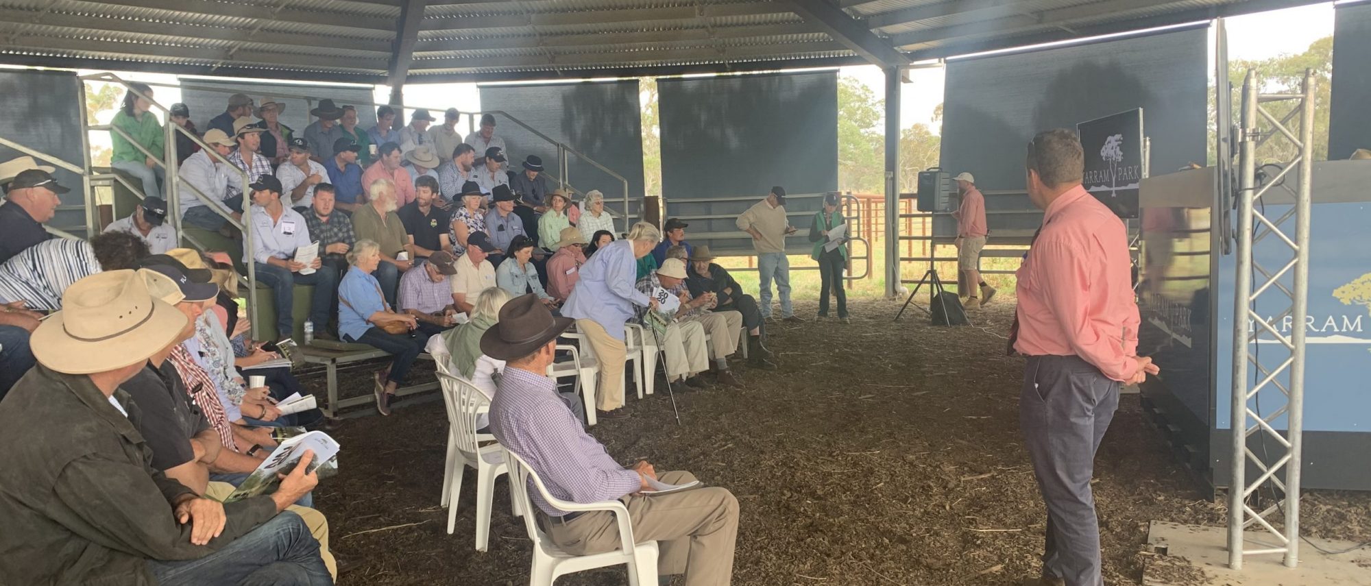 Yarram_Park_2020_Sale Ring_1
